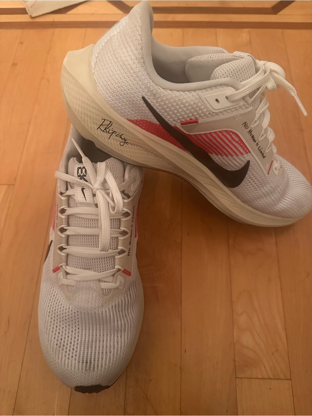Nike Men’s AIR ZOOM PEGASUS 40 EK - Kipchoge limited edition